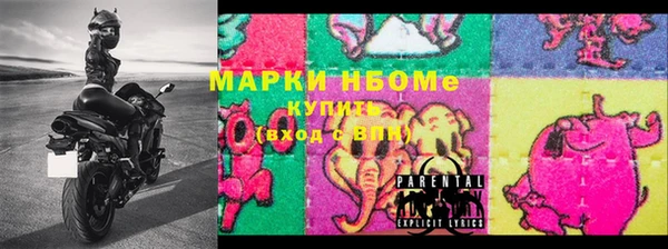 ECSTASY Алзамай