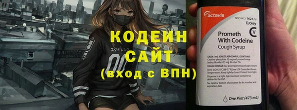 ECSTASY Алзамай