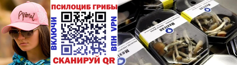 Галлюциногенные грибы Psilocybine cubensis MEGA как войти Данилов